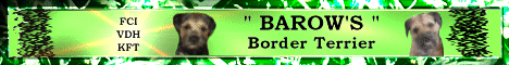 banner_borderterrierbarows
